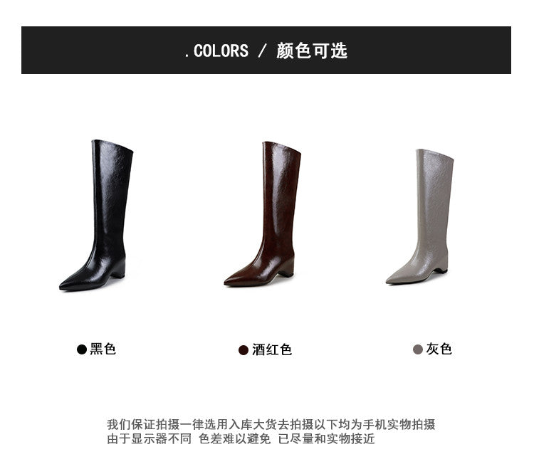 Karin Luna Minimalist Style High Tube Pointed Toe Hidden Heel Boots