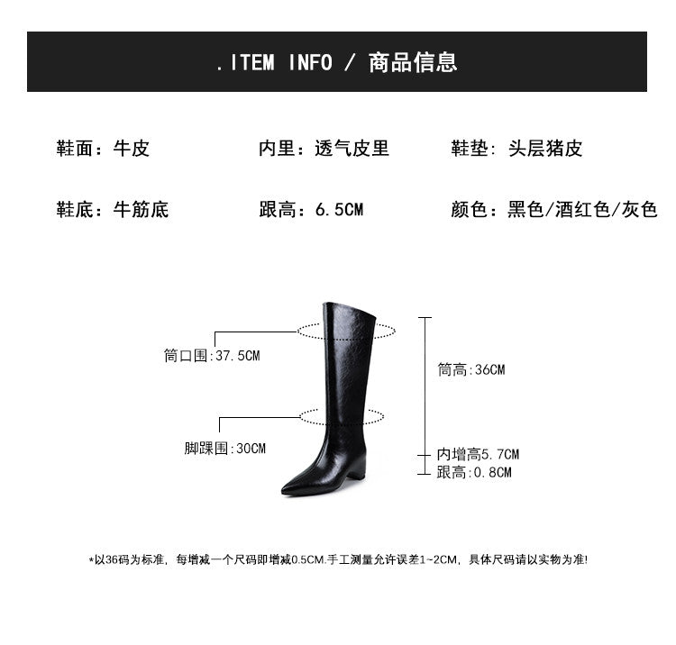 Karin Luna Minimalist Style High Tube Pointed Toe Hidden Heel Boots