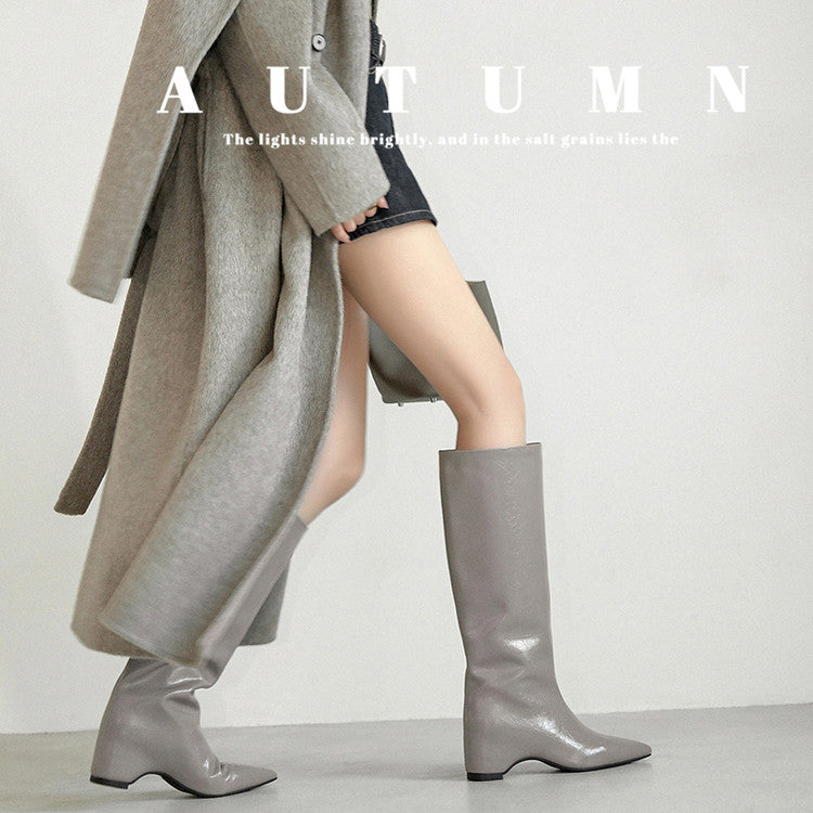 Karin Luna Minimalist Style High Tube Pointed Toe Hidden Heel Boots