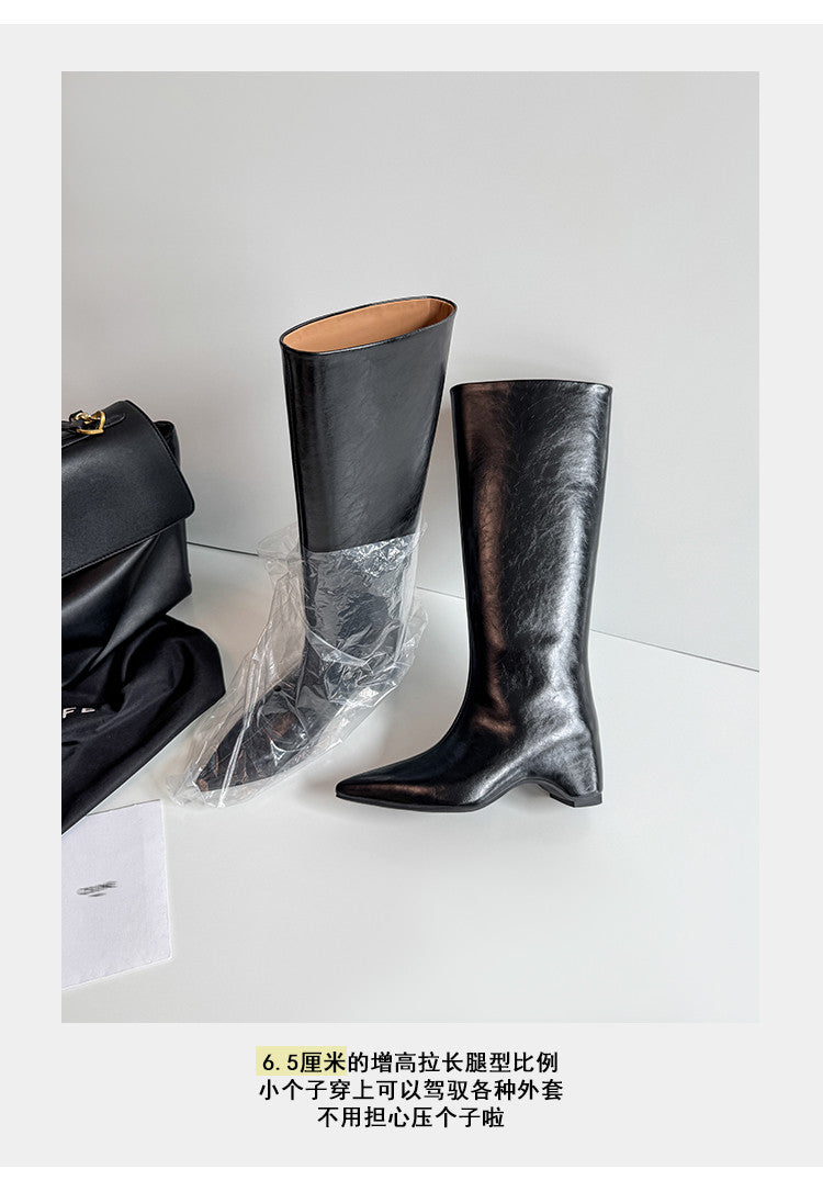 Karin Luna Minimalist Style High Tube Pointed Toe Hidden Heel Boots